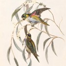 Item 24